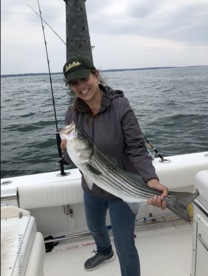 Striped Bass in Massachusetts